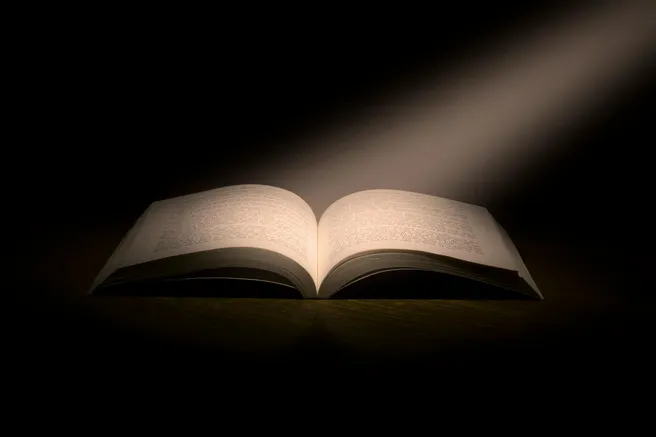 An open book illuminated by a beam of light, symbolizing the discovery of knowledge and wisdom.